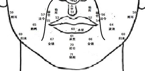 鼻翼 面相|麦玲玲面相讲座之 鼻子 – 人相学